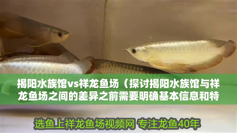 揭陽水族館vs祥龍魚場（探討揭陽水族館與祥龍魚場之間的差異之前需要明確基本信息和特點）