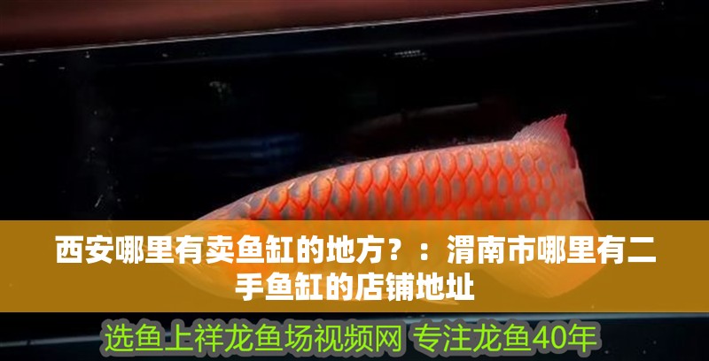 西安哪里有賣魚缸的地方？：渭南市哪里有二手魚缸的店鋪地址