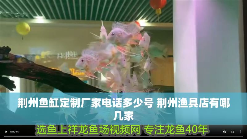 荊州魚缸定制廠家電話多少號 荊州漁具店有哪幾家