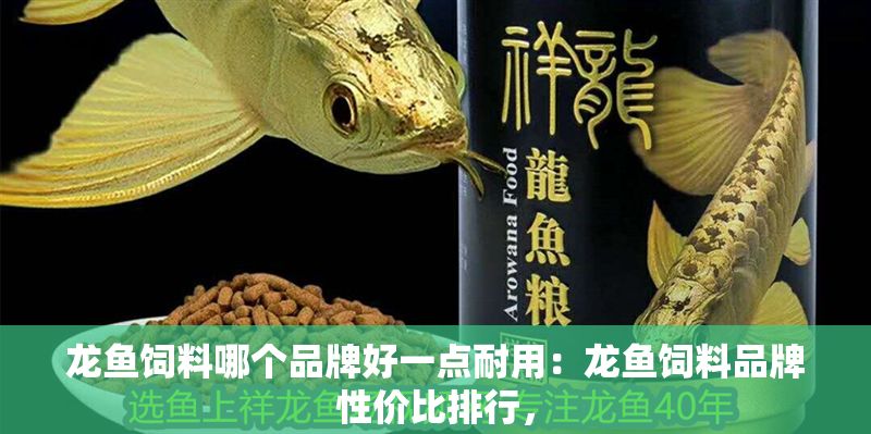 龍魚飼料哪個品牌好一點耐用：龍魚飼料品牌性價比排行，