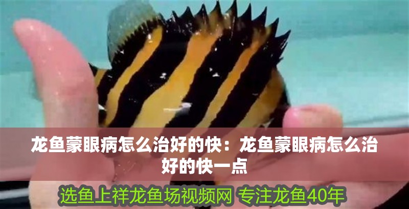 龍魚蒙眼病怎么治好的快：龍魚蒙眼病怎么治好的快一點