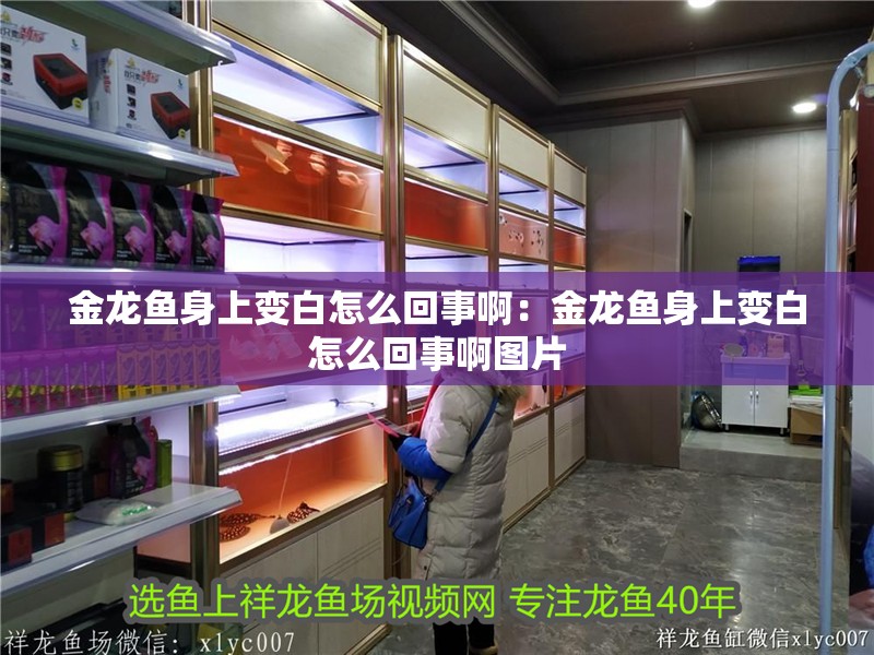 金龍魚身上變白怎么回事啊：金龍魚身上變白怎么回事啊圖片