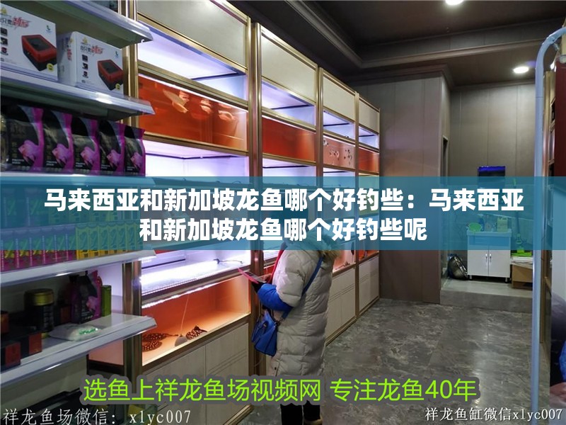 馬來西亞和新加坡龍魚哪個好釣些：馬來西亞和新加坡龍魚哪個好釣些呢