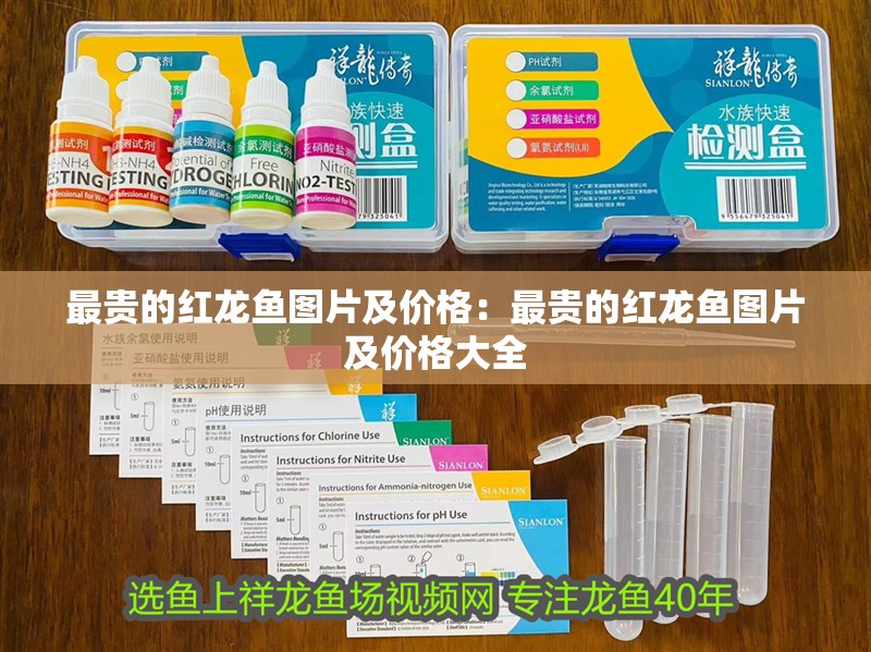 最貴的紅龍魚圖片及價格：最貴的紅龍魚圖片及價格大全
