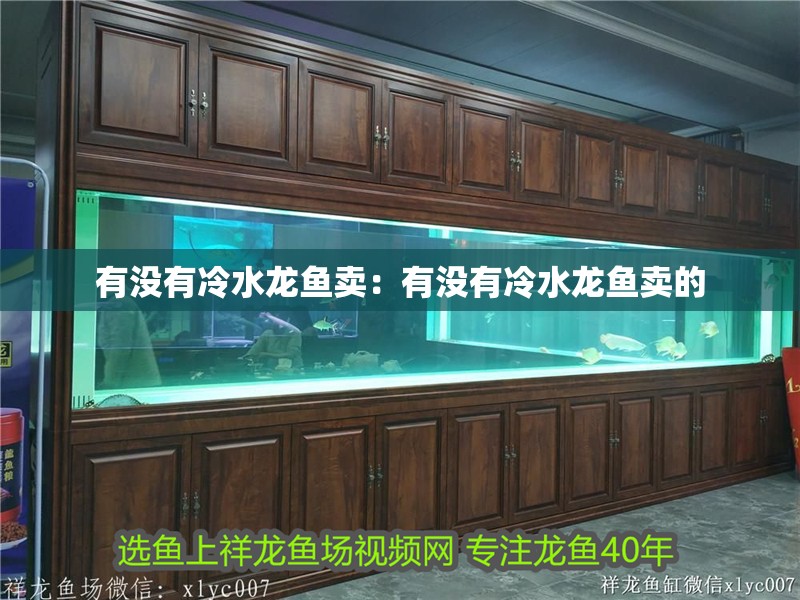 有沒有冷水龍魚賣：有沒有冷水龍魚賣的