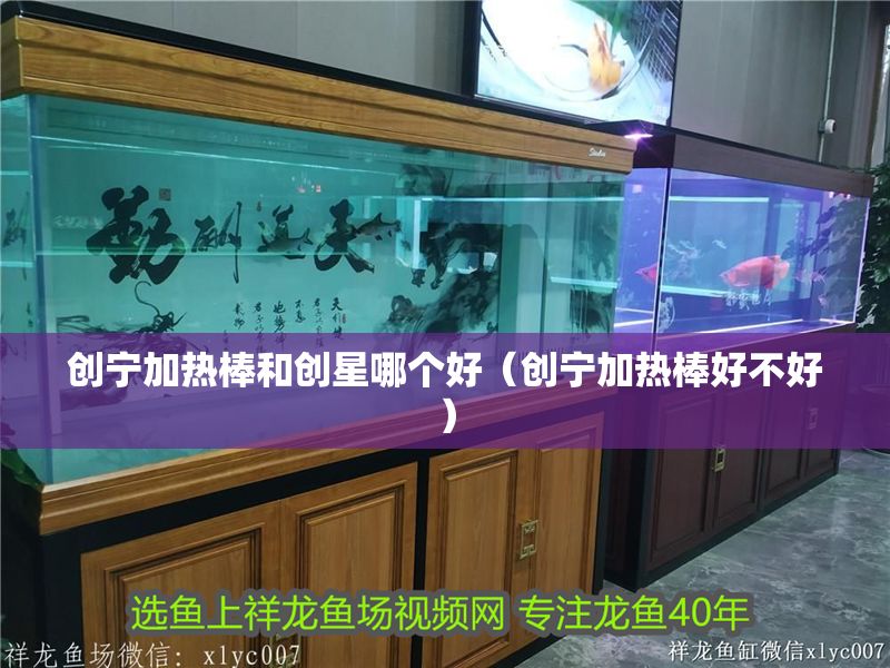 創寧加熱棒和創星哪個好（創寧加熱棒好不好）