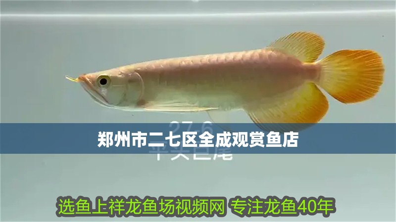 鄭州市二七區(qū)全成觀賞魚(yú)店