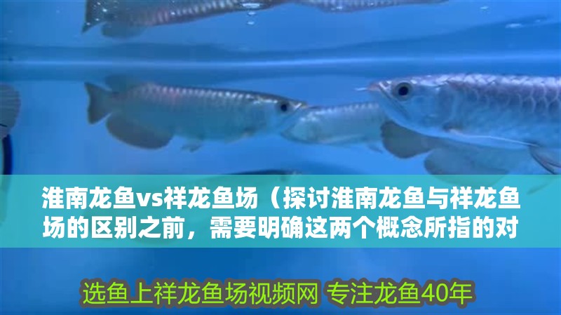 淮南龍魚vs祥龍魚場（探討淮南龍魚與祥龍魚場的區別之前，需要明確這兩個概念所指的對象） 淮南龍魚vs祥龍魚場（探討淮南龍魚與祥龍魚場的區別之前，需要明確這兩個概念所指的對象） 全國水族館企業名錄 第2張
