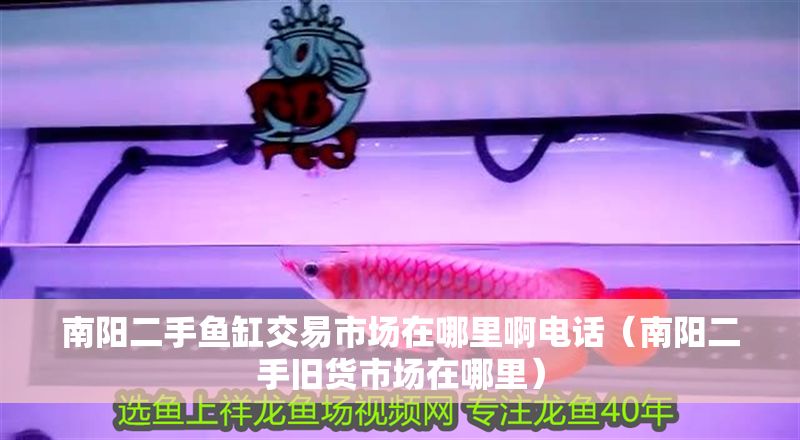 南陽二手魚缸交易市場在哪里啊電話（南陽二手舊貨市場在哪里）
