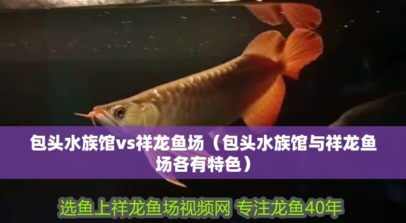包頭水族館vs祥龍魚場（包頭水族館與祥龍魚場各有特色）