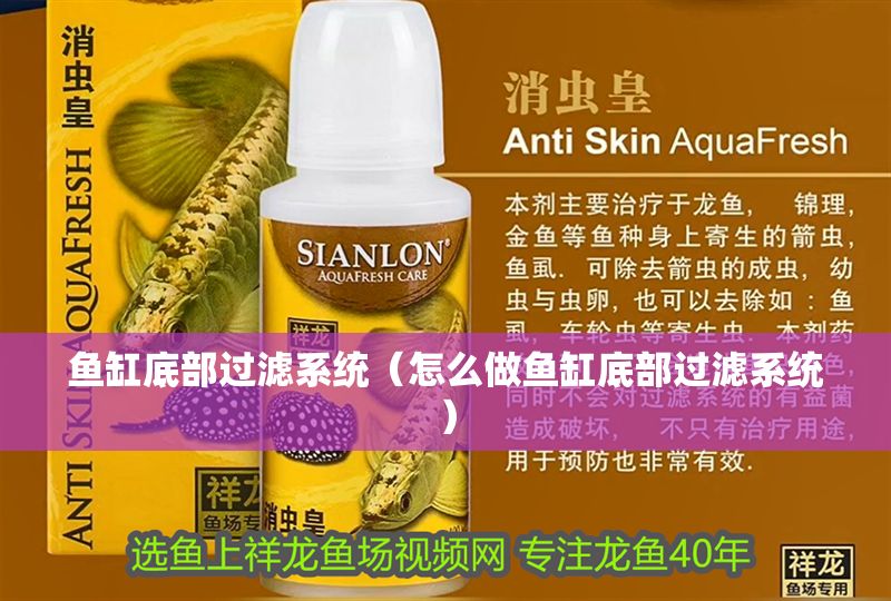 魚缸底部過濾系統（怎么做魚缸底部過濾系統）
