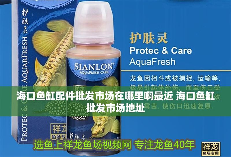 海口魚缸配件批發(fā)市場(chǎng)在哪里啊最近 海口魚缸批發(fā)市場(chǎng)地址