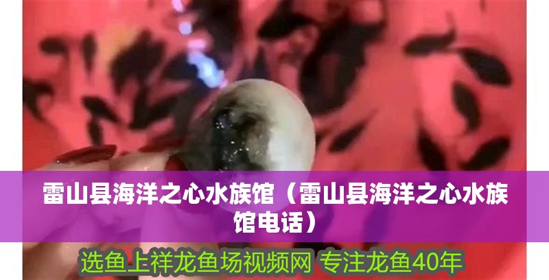 雷山縣海洋之心水族館（雷山縣海洋之心水族館電話）