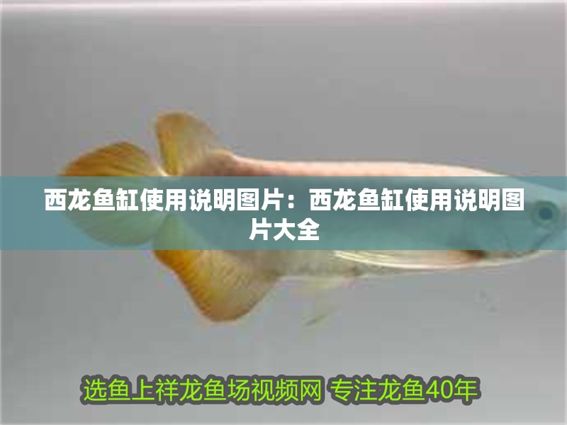 西龍魚缸使用說明圖片：西龍魚缸使用說明圖片大全