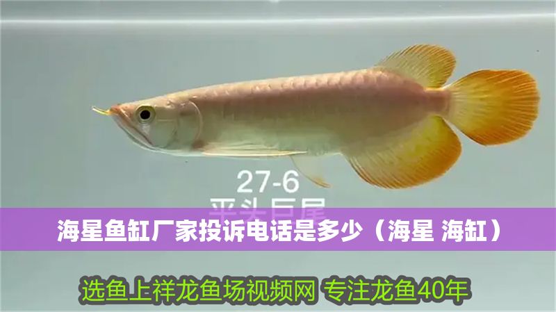海星魚缸廠家投訴電話是多少（海星 海缸）