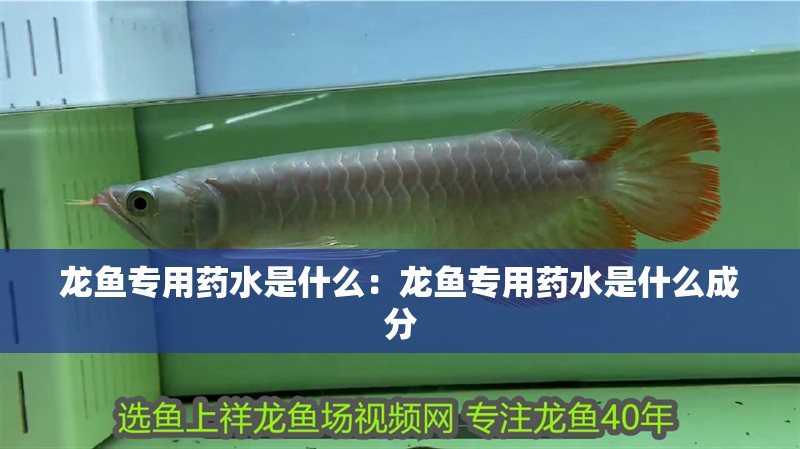 龍魚專用藥水是什么：龍魚專用藥水是什么成分
