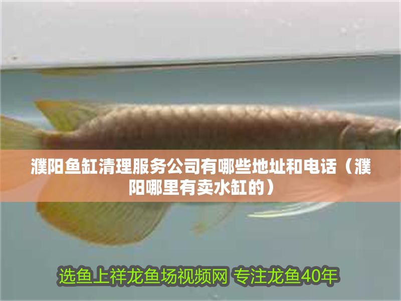 濮陽魚缸清理服務公司有哪些地址和電話（濮陽哪里有賣水缸的）