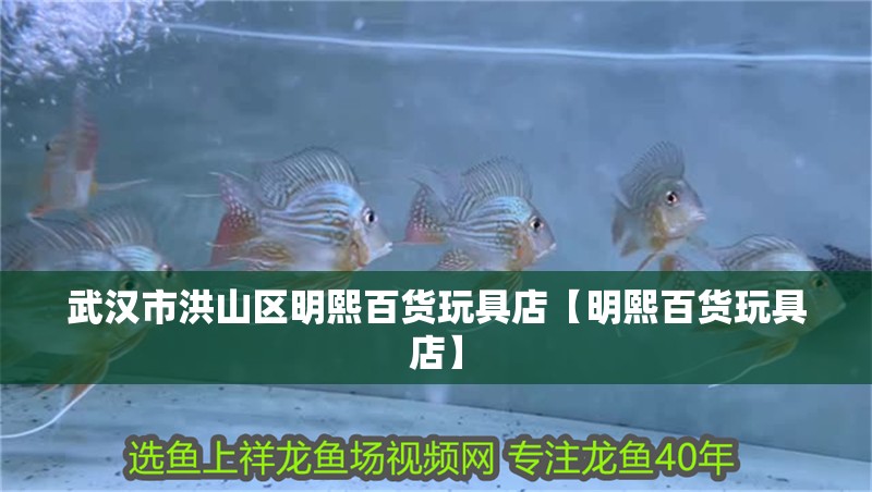 武漢市洪山區(qū)明熙百貨玩具店【明熙百貨玩具店】