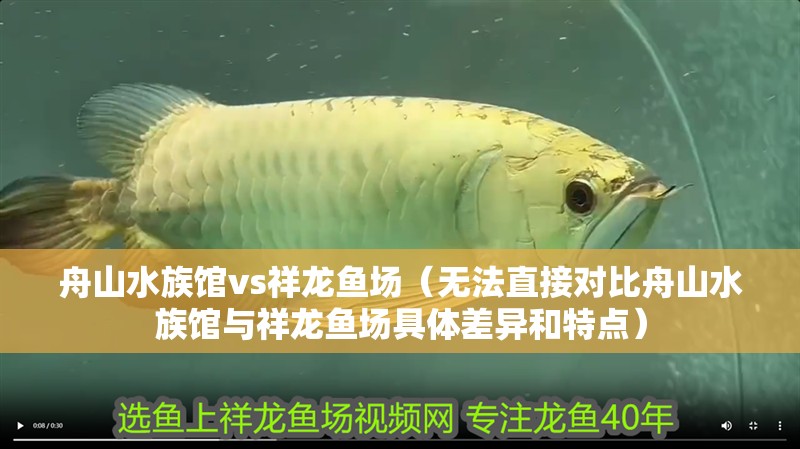 舟山水族館vs祥龍魚場(chǎng)（無(wú)法直接對(duì)比舟山水族館與祥龍魚場(chǎng)具體差異和特點(diǎn)）