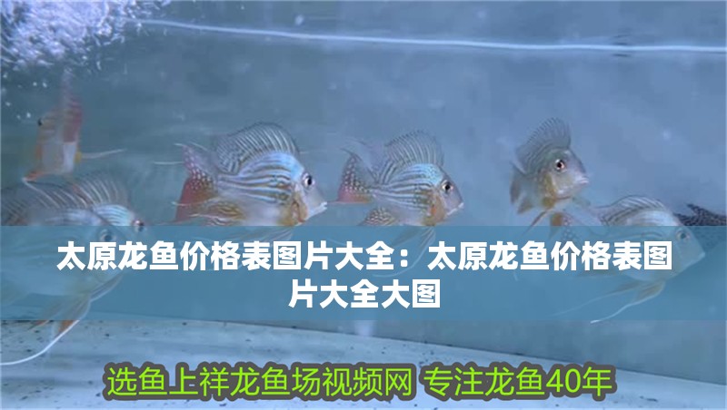 太原龍魚價格表圖片大全：太原龍魚價格表圖片大全大圖