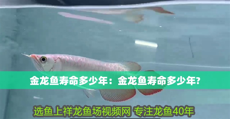 博特水泵進水口尺寸規格：博特水泵的進水口尺寸規格