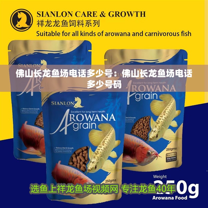佛山長龍魚場電話多少號：佛山長龍魚場電話多少號碼