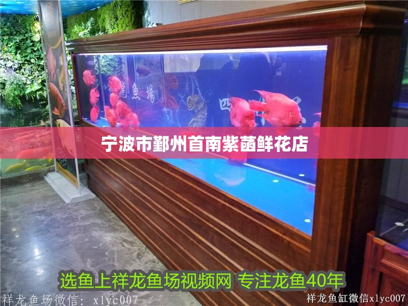 寧波市鄞州首南紫菡鮮花店