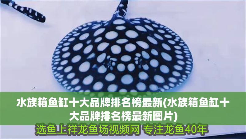 水族箱魚缸十大品牌排名榜最新(水族箱魚缸十大品牌排名榜最新圖片)