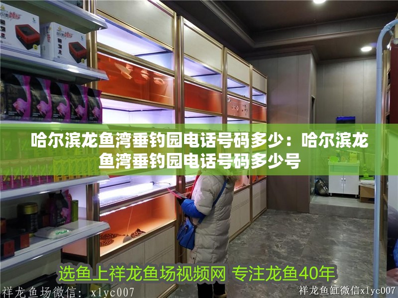 哈爾濱龍魚灣垂釣園電話號(hào)碼多少：哈爾濱龍魚灣垂釣園電話號(hào)碼多少號(hào)