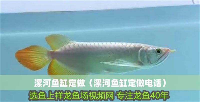 漯河魚缸定做（漯河魚缸定做電話）
