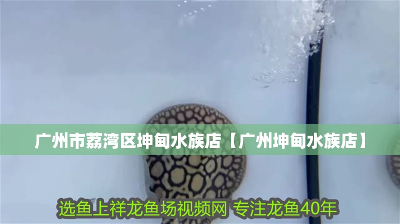廣州市荔灣區坤甸水族店【廣州坤甸水族店】