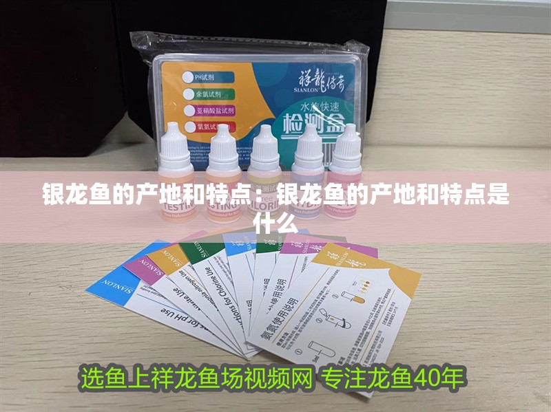 銀龍魚的產(chǎn)地和特點(diǎn)：銀龍魚的產(chǎn)地和特點(diǎn)是什么