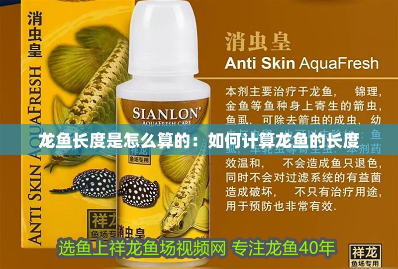 龍魚長(zhǎng)度是怎么算的：如何計(jì)算龍魚的長(zhǎng)度
