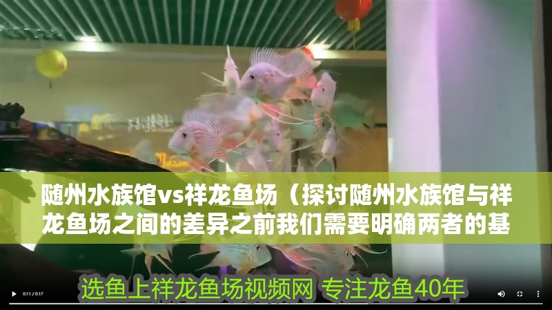 隨州水族館vs祥龍魚場（探討隨州水族館與祥龍魚場之間的差異之前我們需要明確兩者的基本信息和特點）