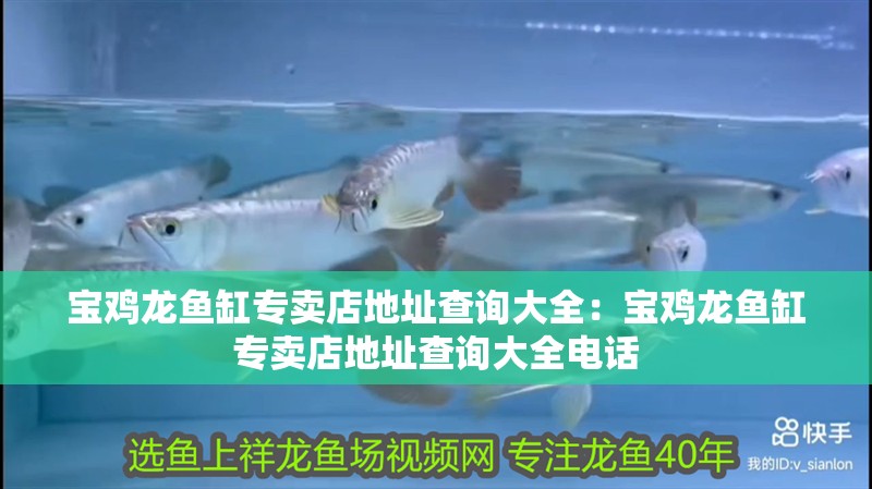 寶雞龍魚缸專賣店地址查詢大全：寶雞龍魚缸專賣店地址查詢大全電話