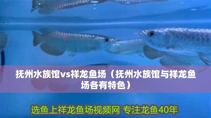 撫州水族館vs祥龍魚場（撫州水族館與祥龍魚場各有特色）