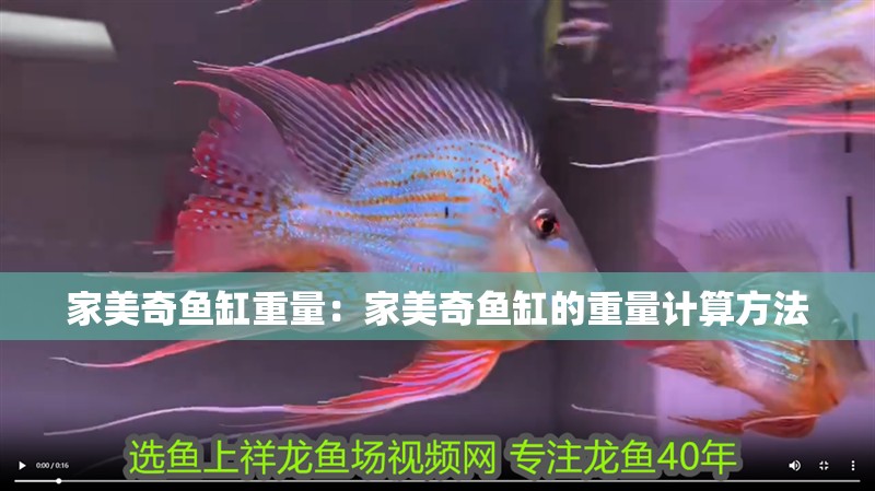 家美奇魚缸重量：家美奇魚缸的重量計算方法
