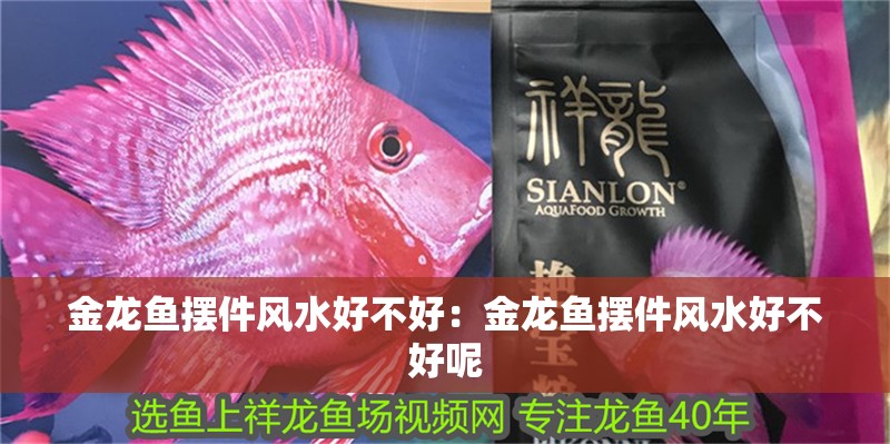 金龍魚擺件風水好不好：金龍魚擺件風水好不好呢