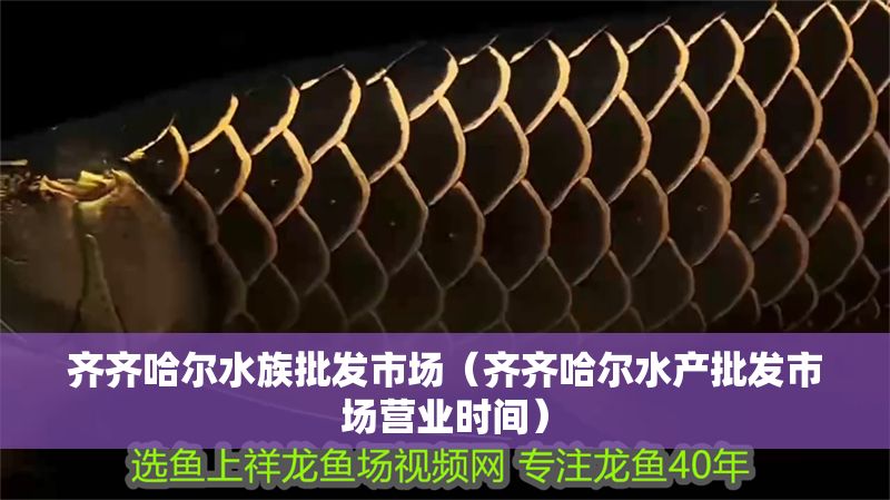 齊齊哈爾水族批發市場（齊齊哈爾水產批發市場營業時間）