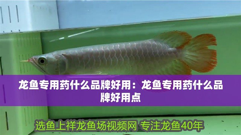 龍魚專用藥什么品牌好用：龍魚專用藥什么品牌好用點 龍魚專用藥什么品牌好用：龍魚專用藥什么品牌好用點 水族問答