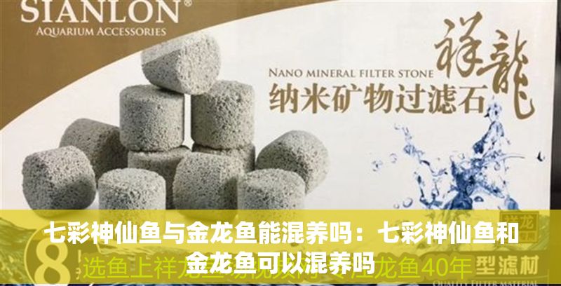 七彩神仙魚與金龍魚能混養嗎：七彩神仙魚和金龍魚可以混養嗎