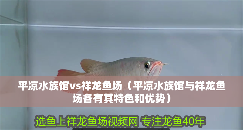 平涼水族館vs祥龍魚場（平涼水族館與祥龍魚場各有其特色和優勢）
