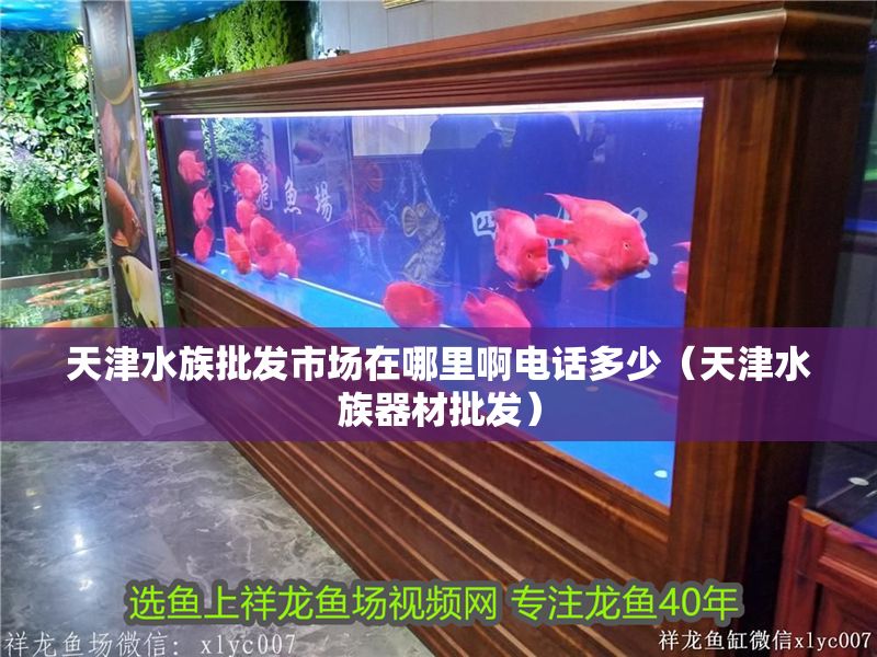 天津水族批發市場在哪里啊電話多少（天津水族器材批發）