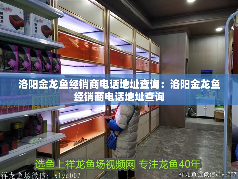洛陽金龍魚經銷商電話地址查詢：洛陽金龍魚經銷商電話地址查詢
