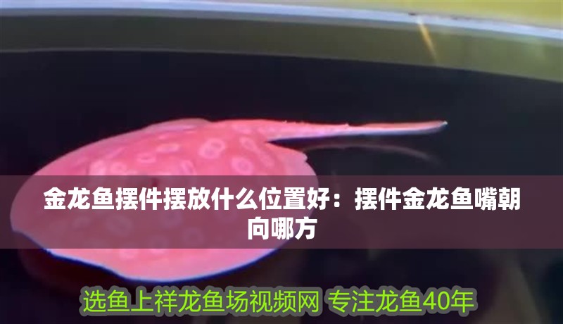 金龍魚擺件擺放什么位置好：擺件金龍魚嘴朝向哪方