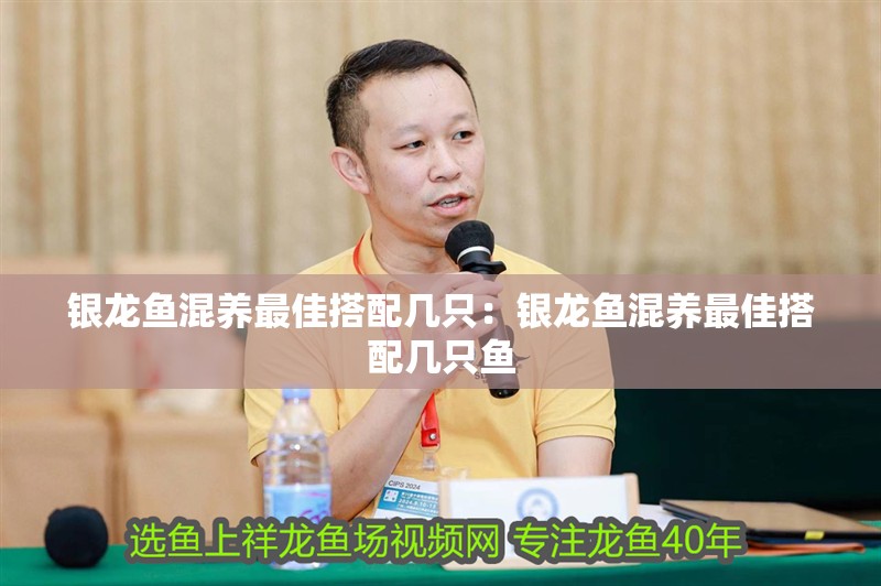 銀龍魚混養最佳搭配幾只：銀龍魚混養最佳搭配幾只魚
