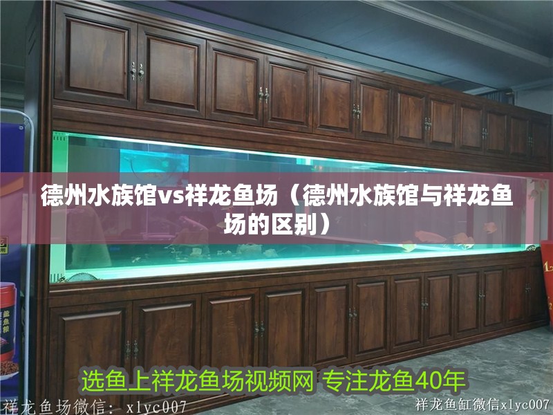 德州水族館vs祥龍魚場（德州水族館與祥龍魚場的區別）