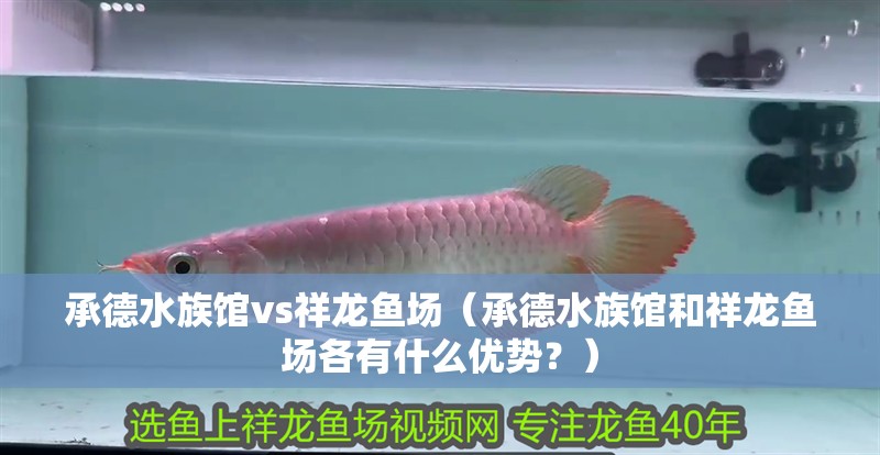 承德水族館vs祥龍魚場（承德水族館和祥龍魚場各有什么優勢？）
