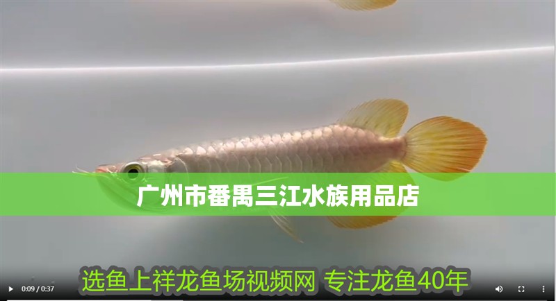 廣州市番禺三江水族用品店