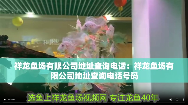 祥龍魚場有限公司地址查詢電話：祥龍魚場有限公司地址查詢電話號碼